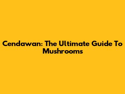 Cendawan: The Ultimate Guide To Mushrooms