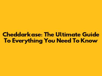 Cheddarkase: The Ultimate Guide To Everything You Need To Know