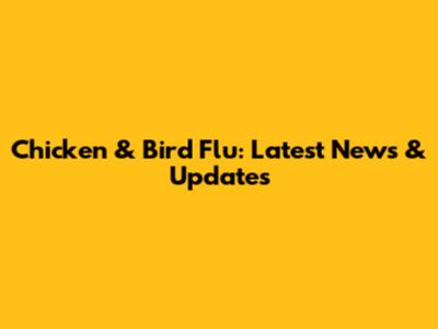 Chicken & Bird Flu: Latest News & Updates