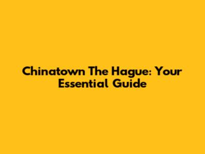 Chinatown The Hague: Your Essential Guide