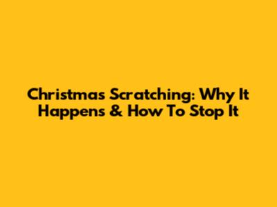 Christmas Scratching: Why It Happens & How To Stop It