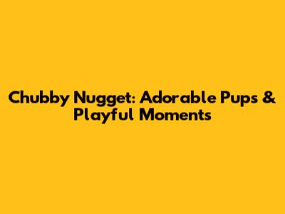 Chubby Nugget: Adorable Pups & Playful Moments