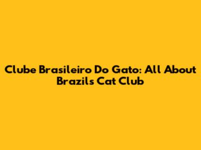 Clube Brasileiro Do Gato: All About Brazil's Cat Club