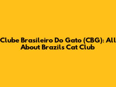 Clube Brasileiro Do Gato (CBG): All About Brazil's Cat Club