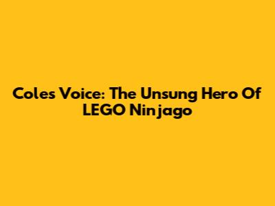 Cole's Voice: The Unsung Hero Of LEGO Ninjago
