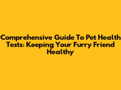 Comprehensive Guide To Pet Health Tests: Keeping Your Furry Friend Healthy