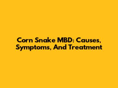Corn Snake MBD: Causes, Symptoms, And Treatment