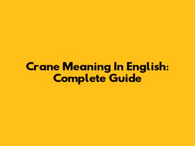 Crane Meaning In English: Complete Guide