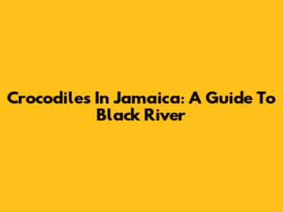 Crocodiles In Jamaica: A Guide To Black River