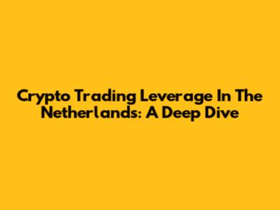 Crypto Trading Leverage In The Netherlands: A Deep Dive