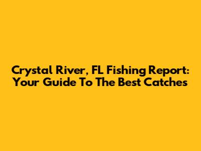 Crystal River, FL Fishing Report: Your Guide To The Best Catches