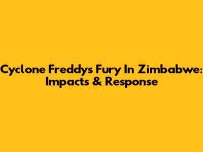 Cyclone Freddy's Fury In Zimbabwe: Impacts & Response