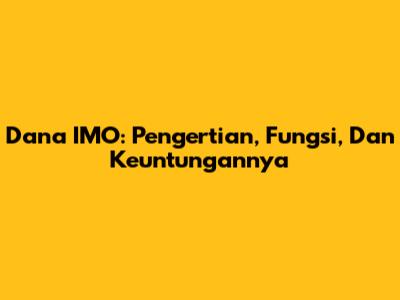 Dana IMO: Pengertian, Fungsi, Dan Keuntungannya