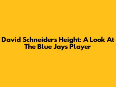 David Schneider's Height: A Look At The Blue Jays' Player