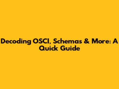 Decoding OSCI, Schemas & More: A Quick Guide