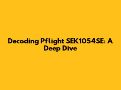 Decoding Pflight SEK1054SE: A Deep Dive