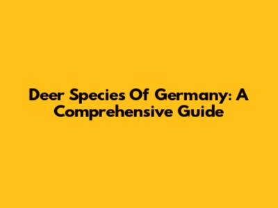 Deer Species Of Germany: A Comprehensive Guide
