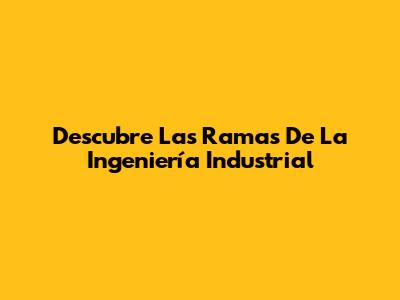 Descubre Las Ramas De La Ingeniería Industrial