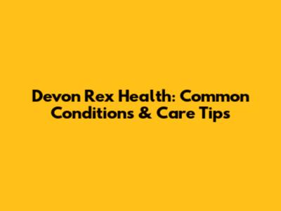 Devon Rex Health: Common Conditions & Care Tips