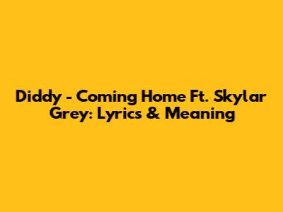 Diddy - Coming Home Ft. Skylar Grey: Lyrics & Meaning