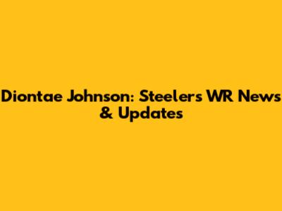 Diontae Johnson: Steelers WR News & Updates