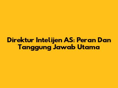 Direktur Intelijen AS: Peran Dan Tanggung Jawab Utama