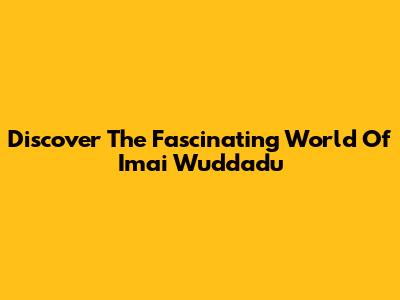 Discover The Fascinating World Of Imai Wuddadu