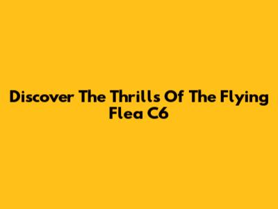 Discover The Thrills Of The Flying Flea C6