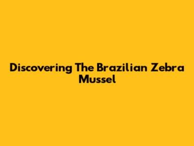 Discovering The Brazilian Zebra Mussel