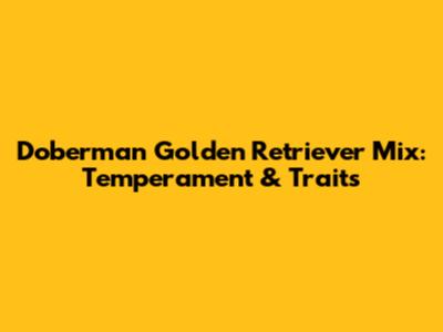 Doberman Golden Retriever Mix: Temperament & Traits