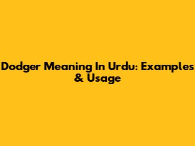 Dodger Meaning In Urdu: Examples & Usage
