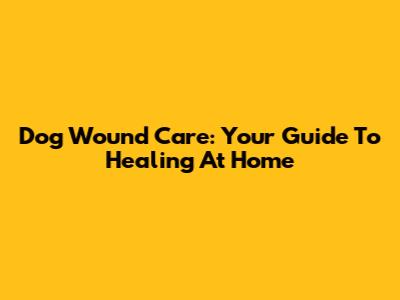Dog Wound Care: Your Guide To Healing At Home