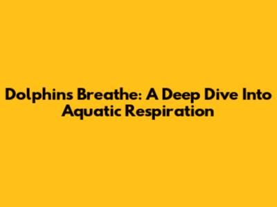 Dolphins Breathe: A Deep Dive Into Aquatic Respiration