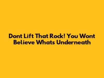 Don't Lift That Rock! You Won't Believe What's Underneath