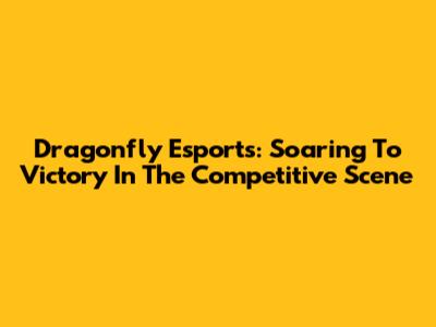 Dragonfly Esports: Soaring To Victory In The Competitive Scene