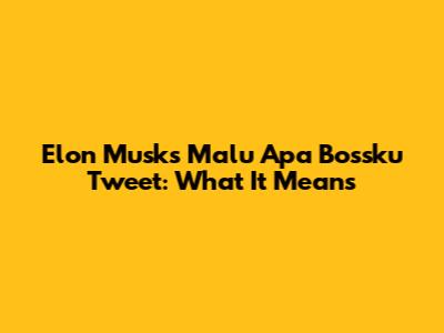Elon Musk's 'Malu Apa Bossku' Tweet: What It Means