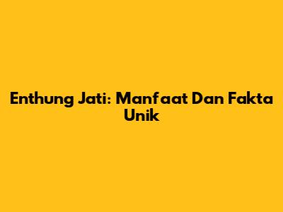 Enthung Jati: Manfaat Dan Fakta Unik