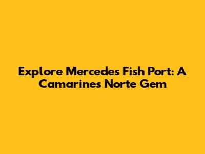 Explore Mercedes Fish Port: A Camarines Norte Gem