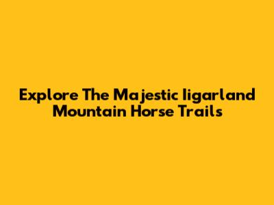 Explore The Majestic Iigarland Mountain Horse Trails