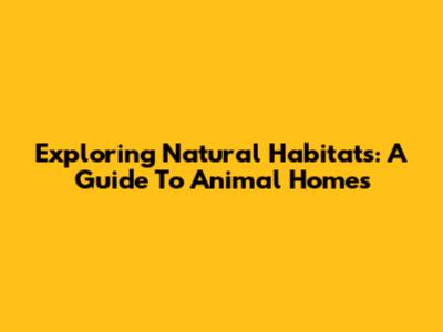Exploring Natural Habitats: A Guide To Animal Homes