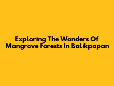 Exploring The Wonders Of Mangrove Forests In Balikpapan