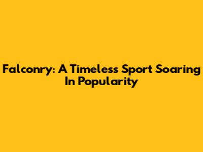 Falconry: A Timeless Sport Soaring In Popularity