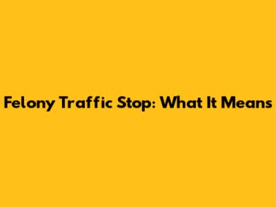 Felony Traffic Stop: What It Means