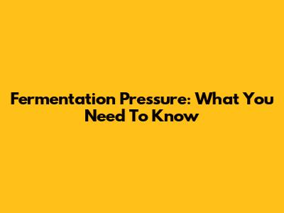 Fermentation Pressure: What You Need To Know