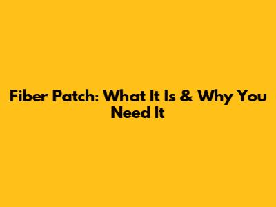 Fiber Patch: What It Is & Why You Need It