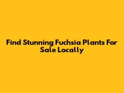 Find Stunning Fuchsia Plants For Sale Locally