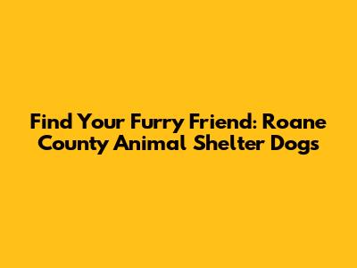 Find Your Furry Friend: Roane County Animal Shelter Dogs