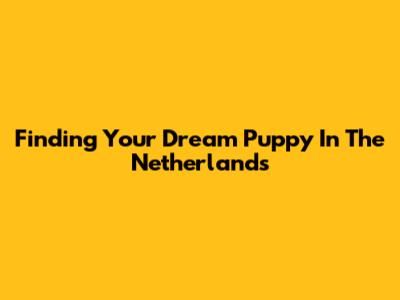 Finding Your Dream Puppy In The Netherlands