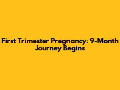 First Trimester Pregnancy: 9-Month Journey Begins