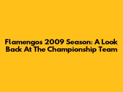 Flamengo's 2009 Season: A Look Back At The Championship Team